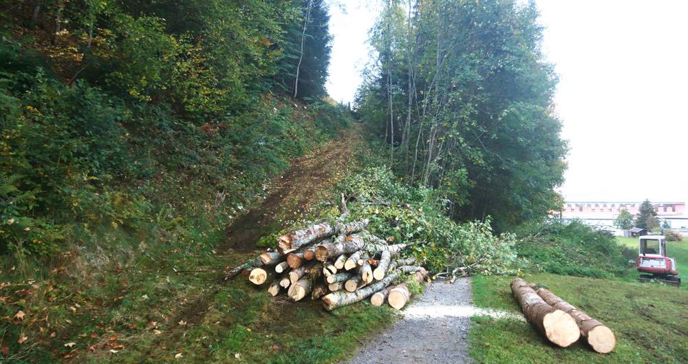 Bahn frei fuer Frau Holle Doenz Montafon 02