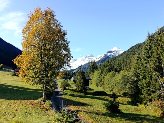 Gauertal Oktober 2021 1